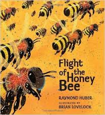 The Flight of the Honey Bee